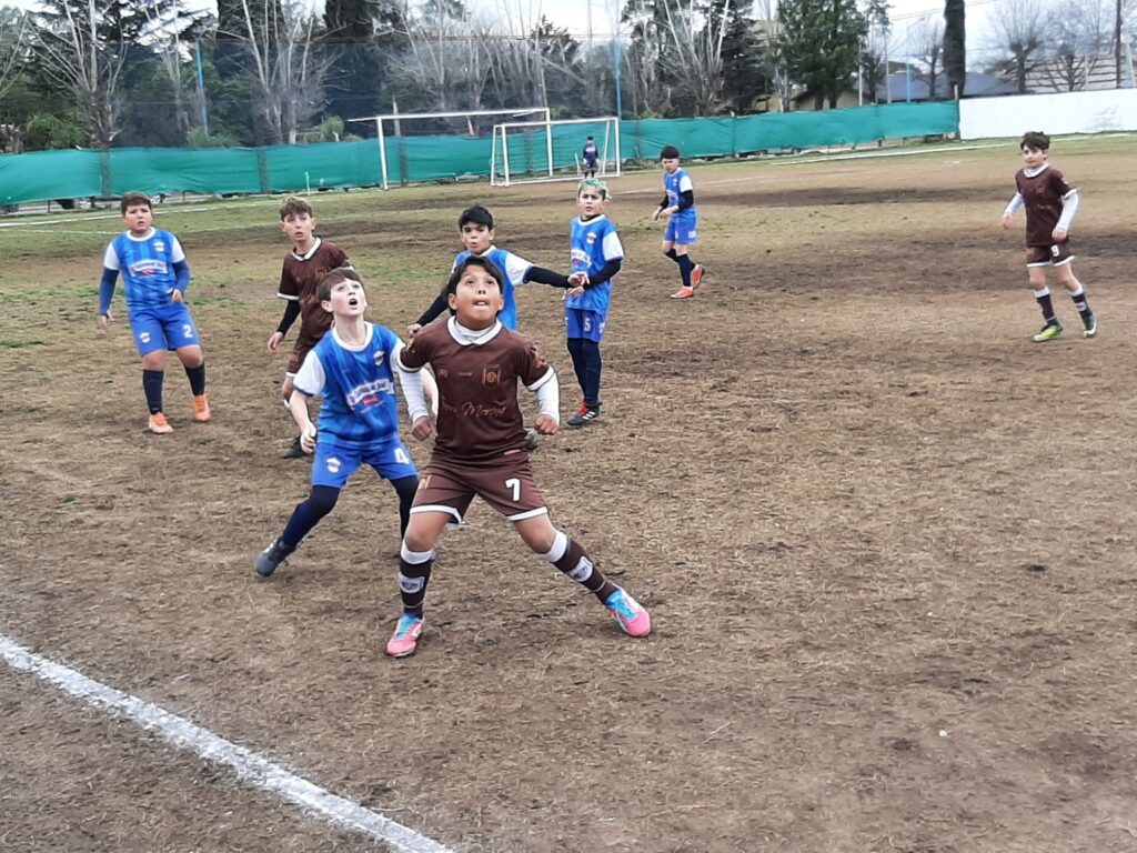 CLUB ATLETICO STOCKOLMO DE BABY FUTBOL: Fotogaleria de las categorias