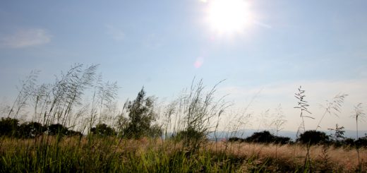 Clima. Las lluvias podrán llegar en los primeros días de febrero