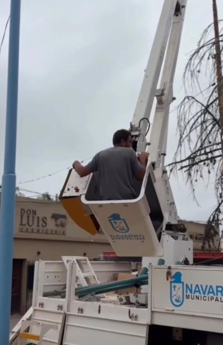 Del Municipio: extracción y recambio de luminarias