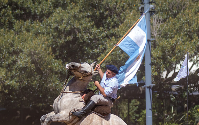 «Nuestros Caballos», la expo del mundo equino vuelve a la Rural