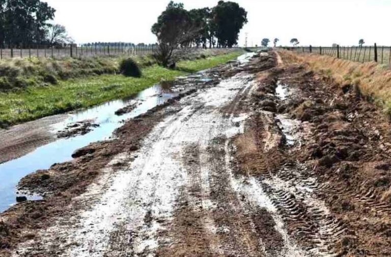 Santos Zuberbuhler: «En distritos como Navarro, Suipacha o Mercedes, los excesos hídricos dejan expuesto el abandono»
