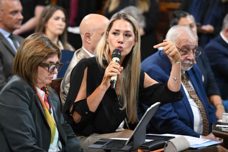 Senado. Dictamen favorable para el proyecto de falsas denuncias