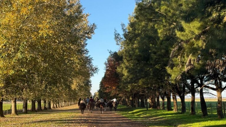 La segunda cabalgata solidaria fue todo un éxito