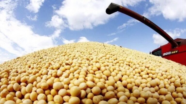 Economía. Amplían el alcance de la baja de retenciones para el campo