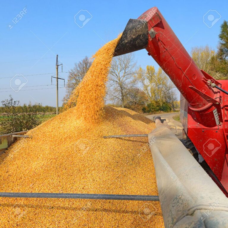Agro. CARBAP pidió que la eliminación de las retenciones se establezca por ley