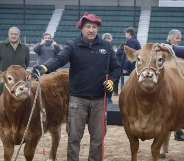 Ingresaron los primeros ejemplares a la Rural de Palermo. Se llaman Tini Tini y Tim Payne
