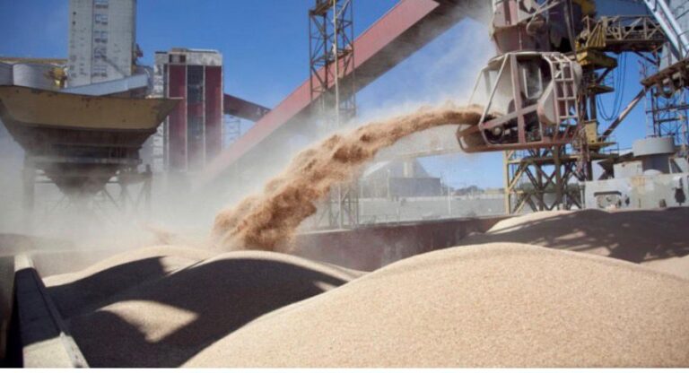 Hasta el 6 de septiembre SE.NA.S.A. recibirá inscripciones para exportar cebada, trigo, soja, sorgo o maíz a China