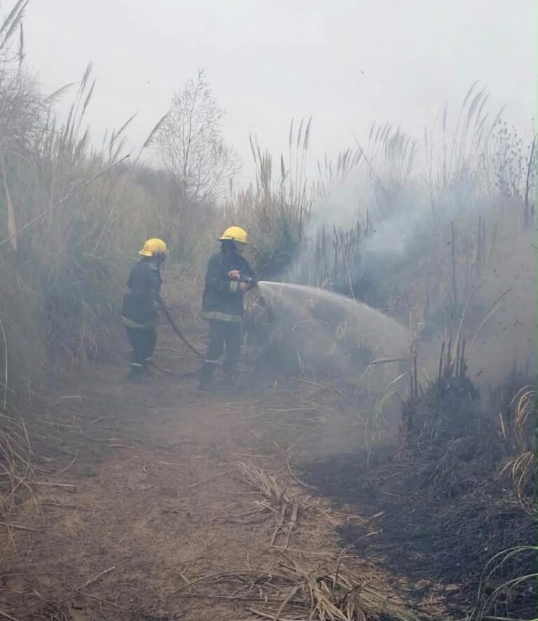 Bomberos de Navarro. Incendio forestal en Anasagasti