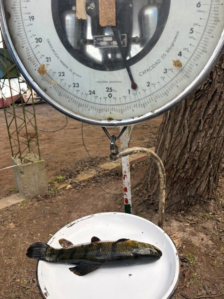 Volvieron los concursos de pesca a nuestra laguna