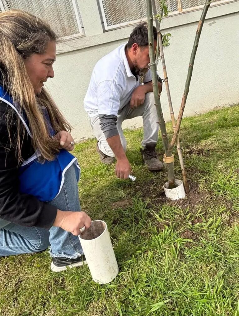 Rotary. Jornada de limpieza y colocación de plantas