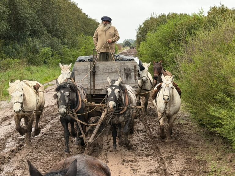 De Navarro a Bragado. La Luz del Desierto será parte de la 55° edición de la Fiesta del Caballo