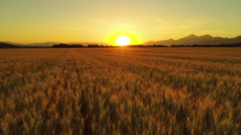 ¿Vuelve el sol? ¿Cuándo mejora el tiempo?